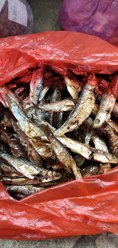 鱼干