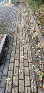马路