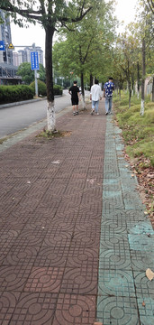 马路