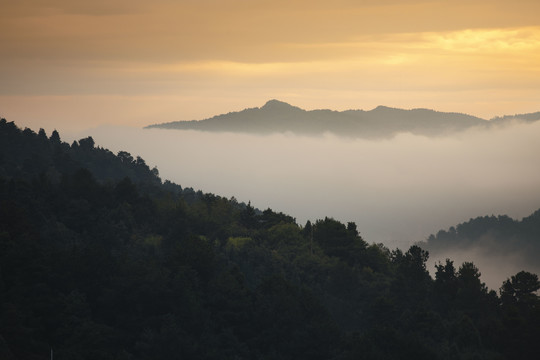 清晨