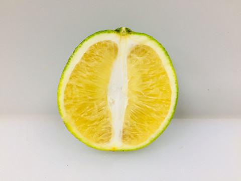 冰糖橙