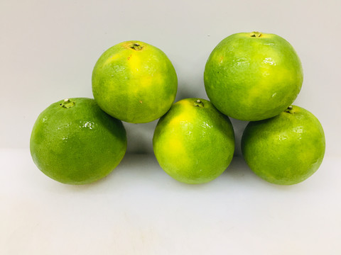 冰糖橙