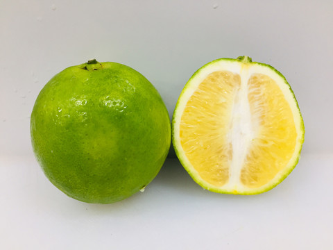 冰糖橙