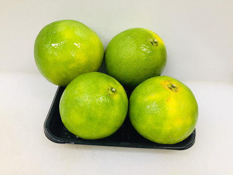 冰糖橙