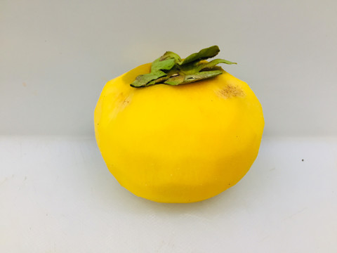 脆柿