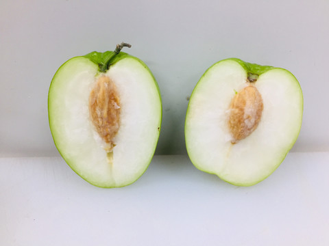 大青枣