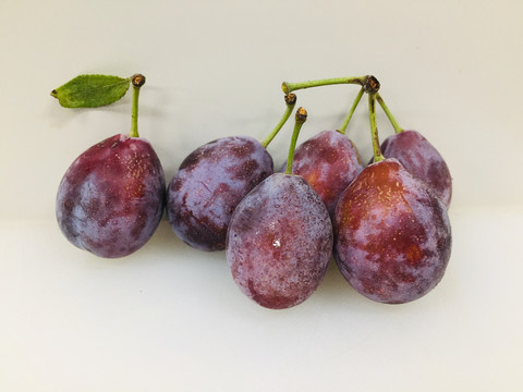 西梅