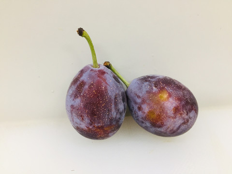 西梅