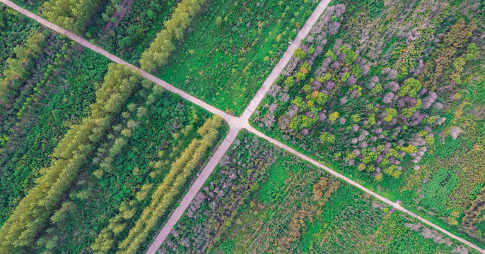 农田与乡间道路的航拍图