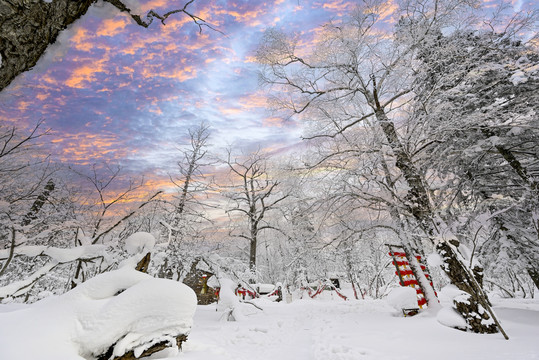 冬天雪屋森林雪地积雪夕阳雪景