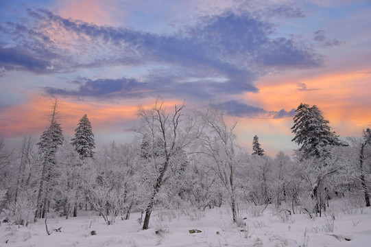 冬天雪屋森林雪地积雪夕阳雪景