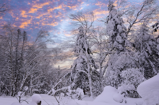 冬天雪屋森林雪地积雪夕阳雪景