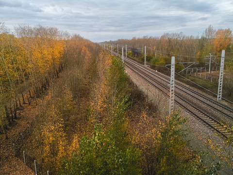 秋季树林铁路