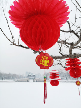 雪景