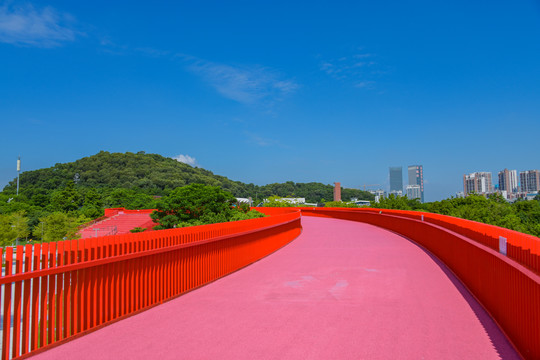 网红桥虹桥公园