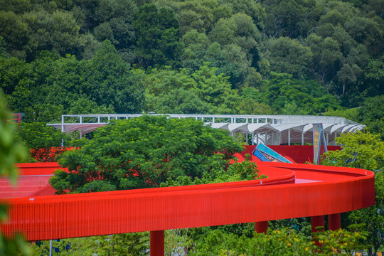 网红桥虹桥公园