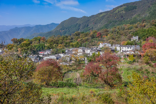 塔川秋色