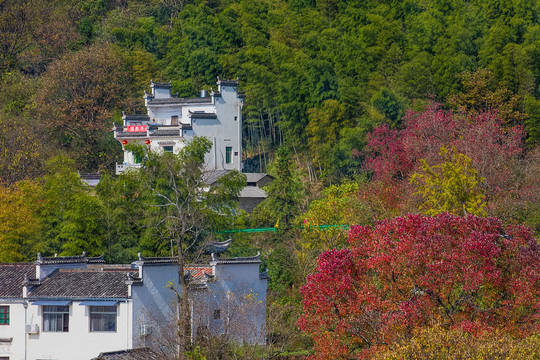 塔川秋色