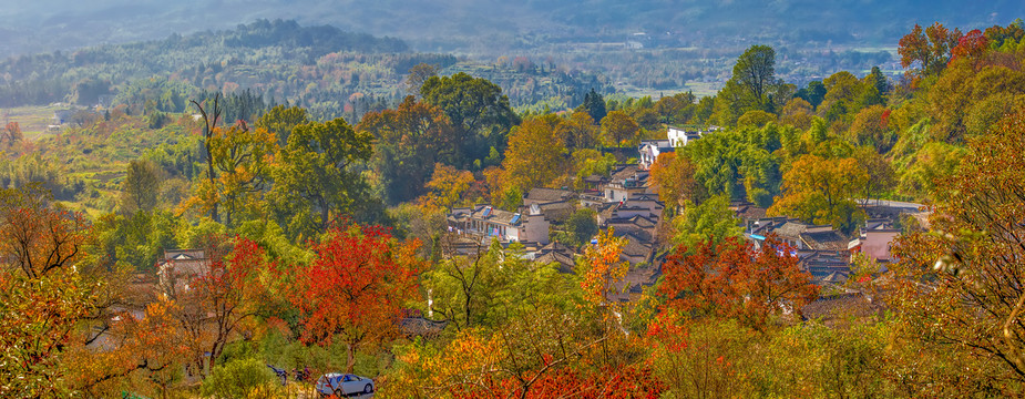 塔川秋色全景图