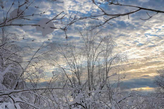 冬天夕阳雪景