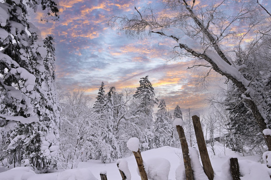 冬天夕阳雪景