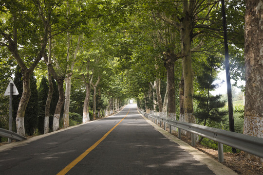 乡村公路