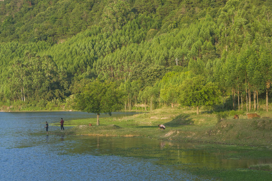 湖边垂钓休闲时光