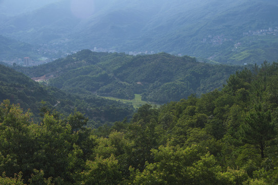 丘陵山谷森林