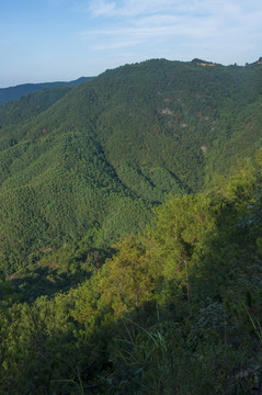 高山青山竖构图