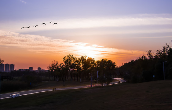 湿地公园夕照