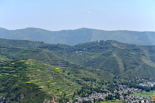 青山梯田新农村