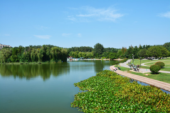 城阳世纪公园风景