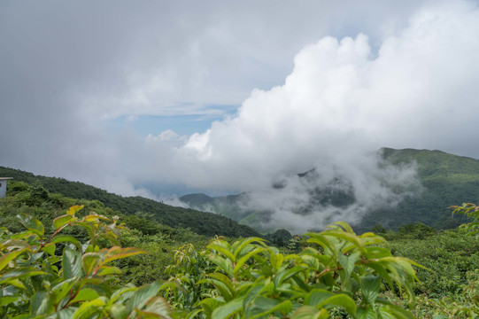 高山白云蓝天