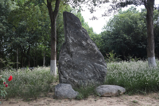 公园景观石