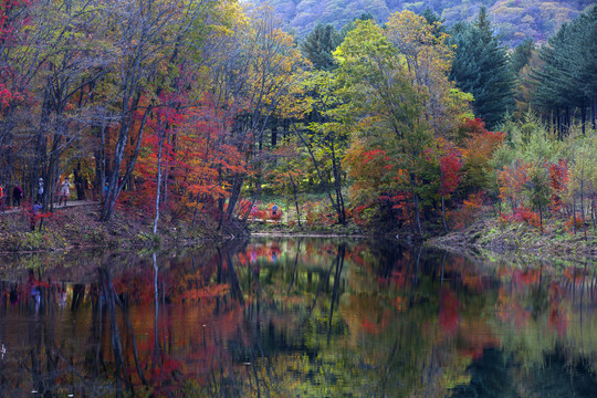 老边沟秋景