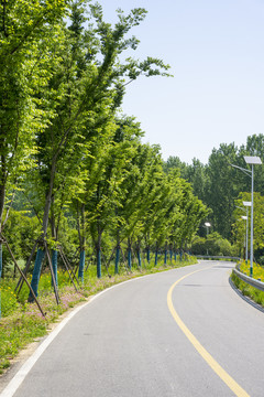 弯曲的乡村公路