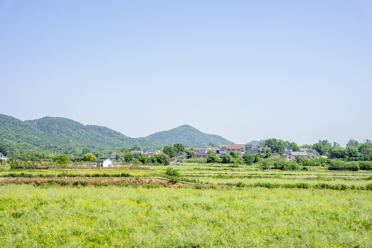 乡村田园风光