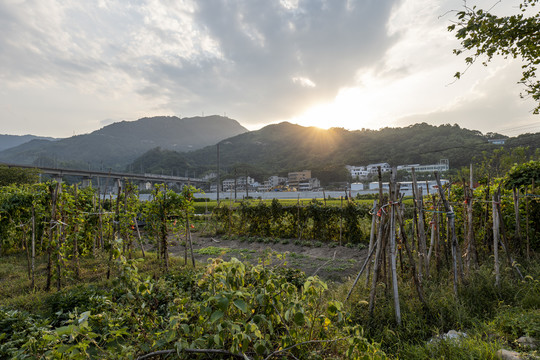 美丽乡村小镇