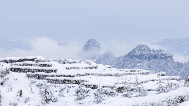 四川宜宾珙县鹿鸣茶山雪景