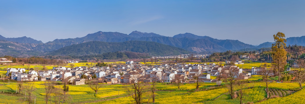 卢村春色全景图