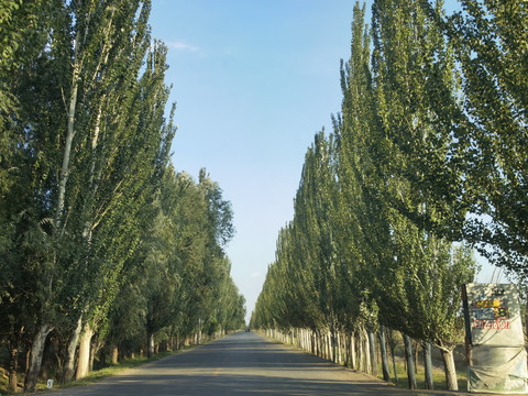 乡间公路