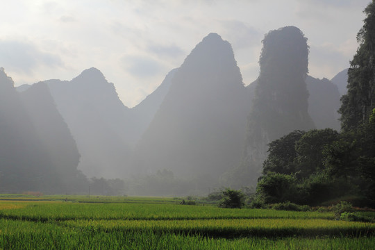 奇峰镇风光