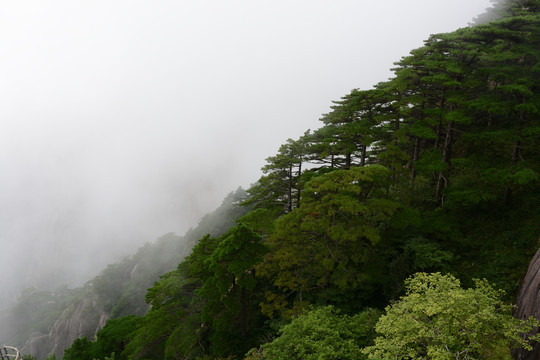 黄山