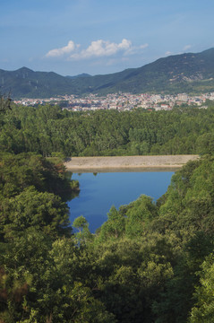 水库森林风景