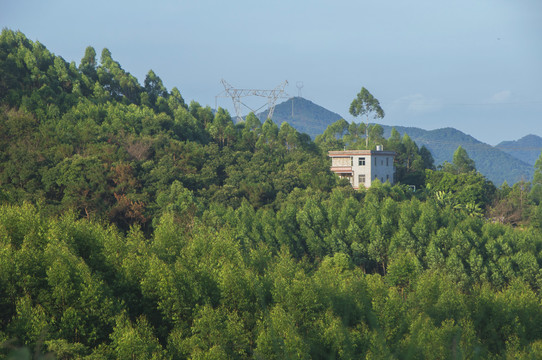 山坡森林小屋