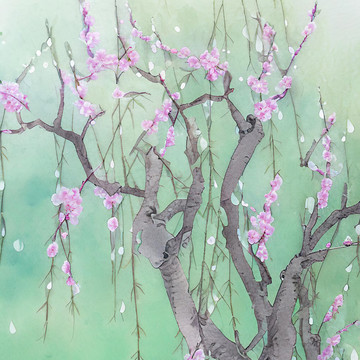 柳树