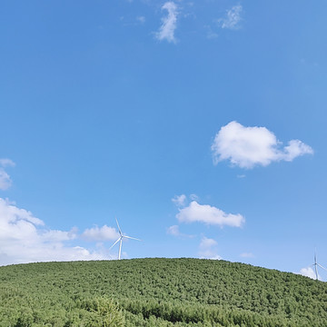 草原风景