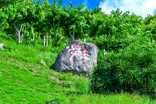 南山文化旅游区