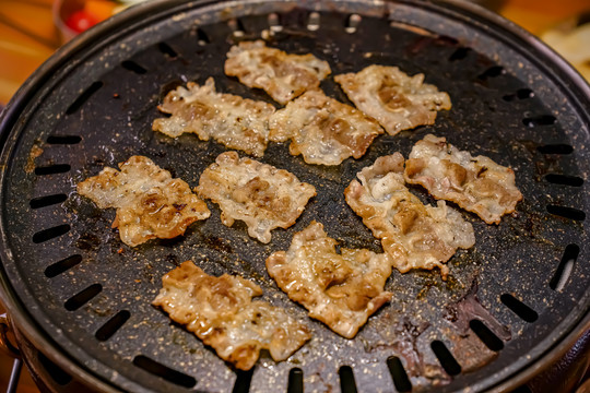 户外露营烤肉野炊野餐