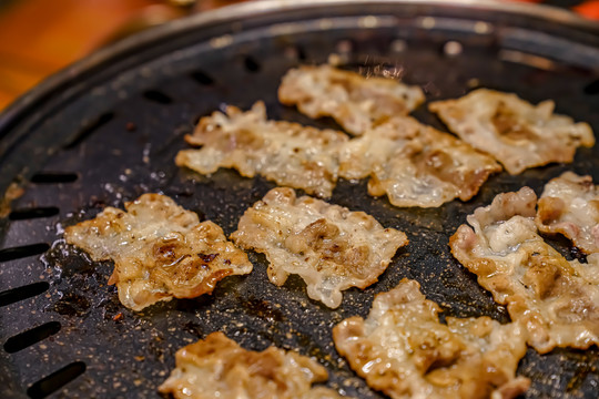 户外露营烤肉野炊野餐